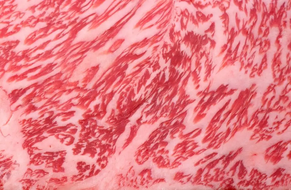 Wagyu beef